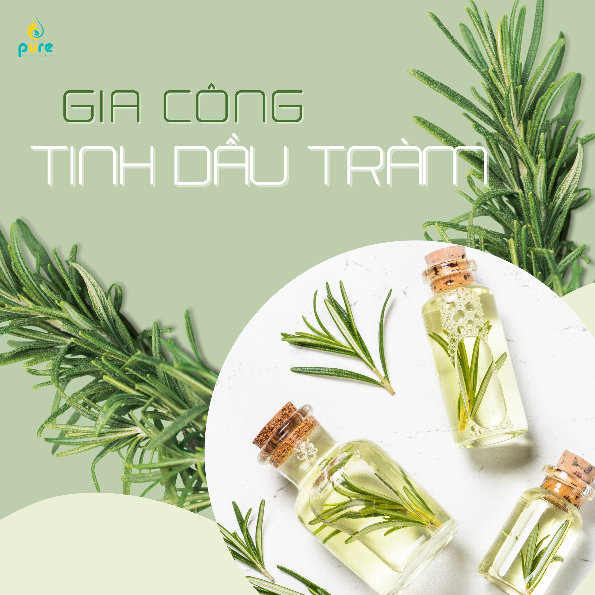 gia-cong-tinh-dau-tram.jpg