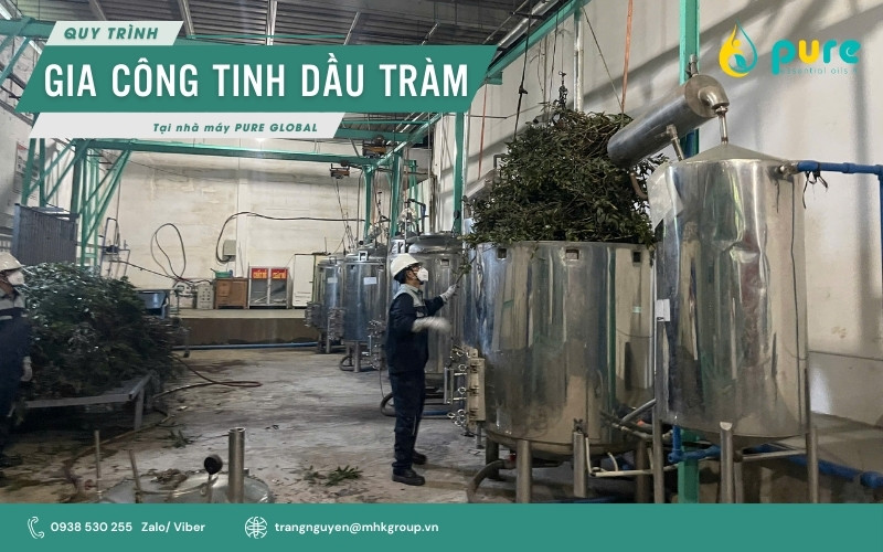 quy-trinh-gia-cong-td-tram2.jpg