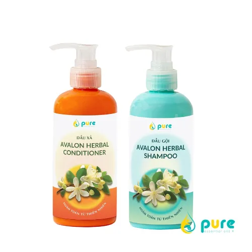 Dầu gội xả thảo dược Avalon