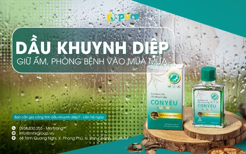 Dầu khuynh diệp: Giữ ấm, phòng bệnh vào mùa mưa.