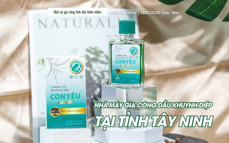 Nhà Máy Gia Công Dầu Khuynh Diệp Tại Tỉnh Tây Ninh