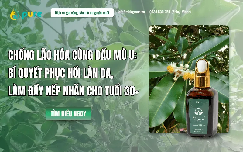 Chống lão hóa cùng dầu mù u: Bí quyết phục hồi làn da, làm đầy nếp nhăn cho tuổi 30+