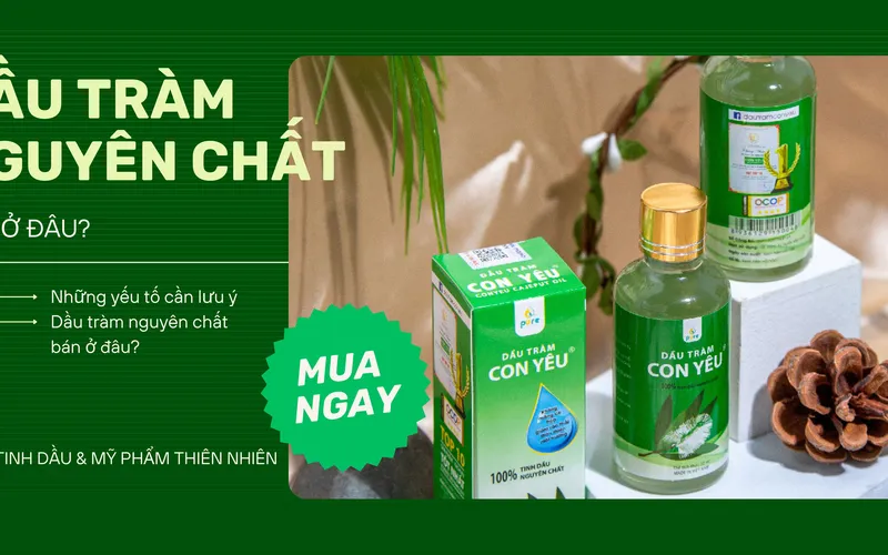 Địa Chỉ Mua Dầu Tràm Nguyên Chất Uy Tín - Dầu Tràm Con Yêu