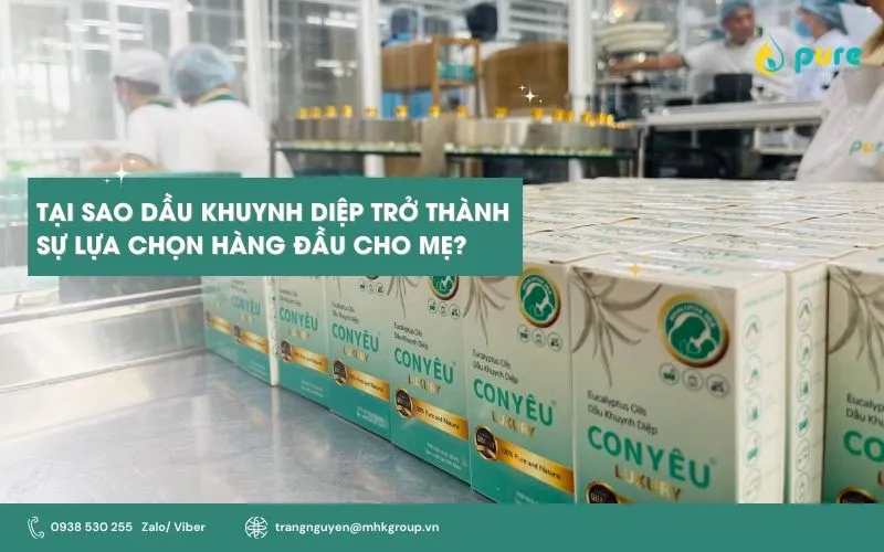 Tại sao Dầu khuynh diệp trở thành sự lựa chọn hàng đầu cho mẹ?
