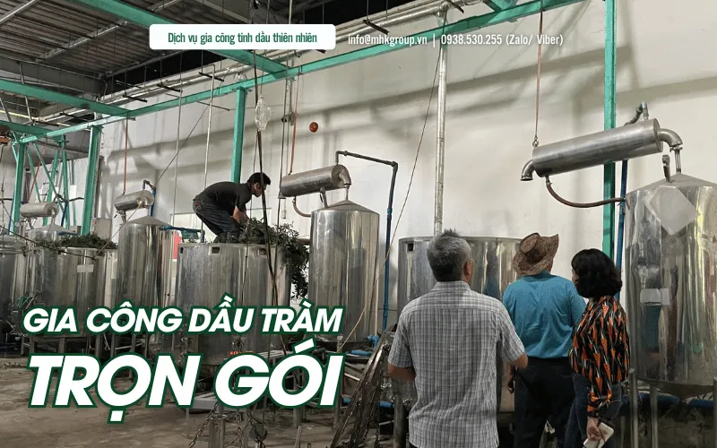 Gia Công Dầu Tràm Trọn Gói Chuẩn FDA