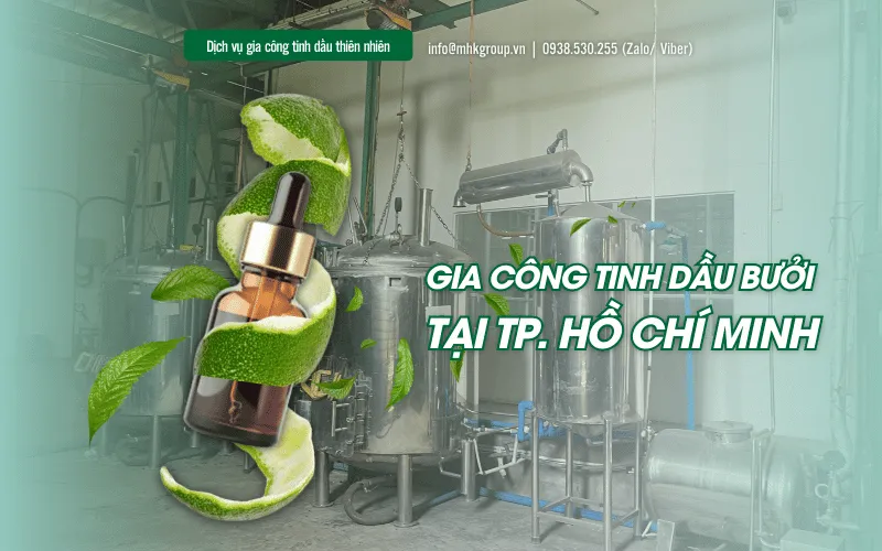 Gia Công Tinh Dầu Bưởi - Xu Hướng & Tiềm Năng Thị Trường