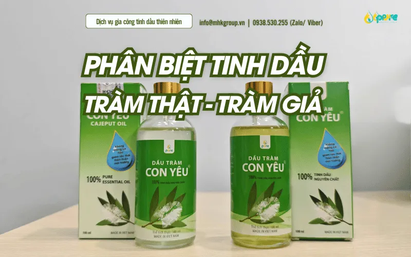 Dầu Tràm Con Yêu - Hướng Dẫn Nhận Biết Tinh Dầu Tràm Chính Hãng
