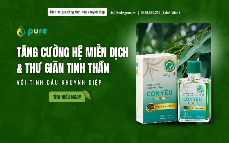 Tăng Cường Hệ Miễn Dịch & Thư Giãn Tinh Thần Với Tinh Dầu Khuynh Diệp