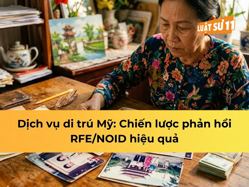 dịch vụ di trú mỹ: chiến lược phản hồi RFE/NOID hiệu quả
