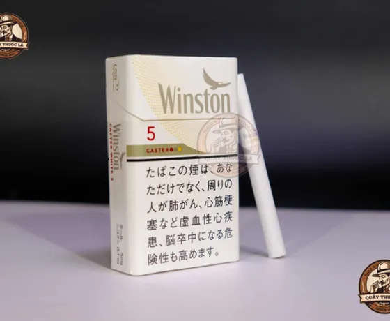 Hút Winston Có Ngon Không? Đánh Giá Chi Tiết Từng Dòng Winston 1 - 3 - 5 - 7