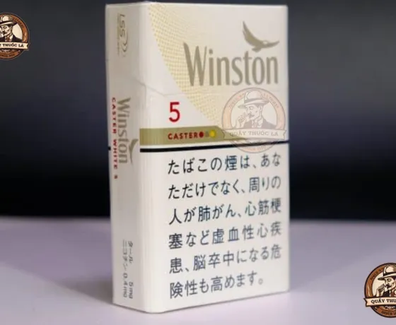 Top Dòng Winston Được Giới Trẻ Yêu Thích Nhất: Lý Do Gọi Tên 1-3-5-7