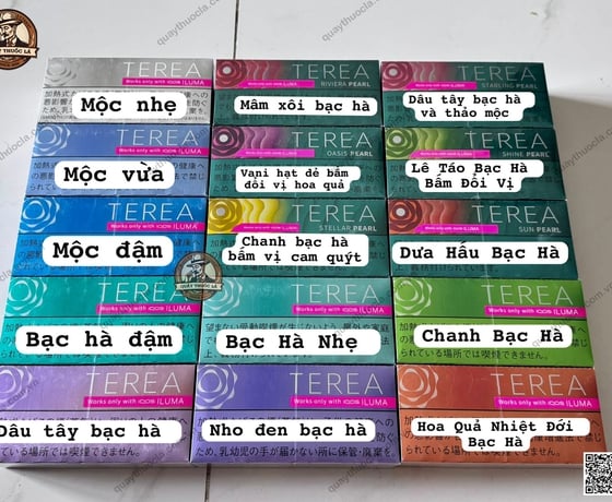 Cập Nhật Bảng Vị Mới TEREA Nhật: Xu Hướng Lựa Chọn Hương Vị Của Người Dùng IQOS ILUMA