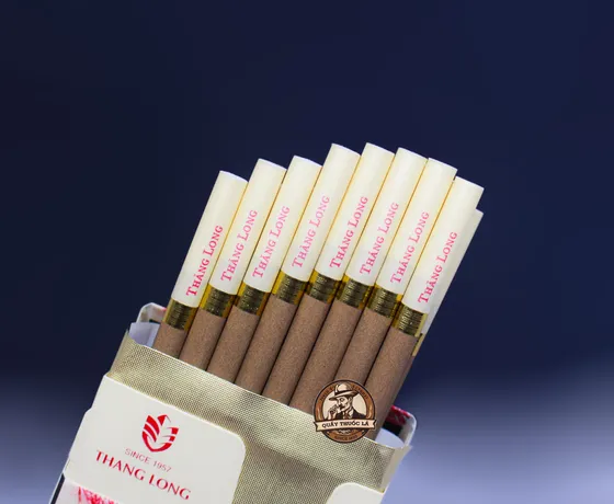 Chọn Nơi Mua Thuốc Lá Uy Tín Để Tránh Gặp Phải Hàng Ẩm Mốc – Cảnh Báo Từ Người Trong Cuộc
