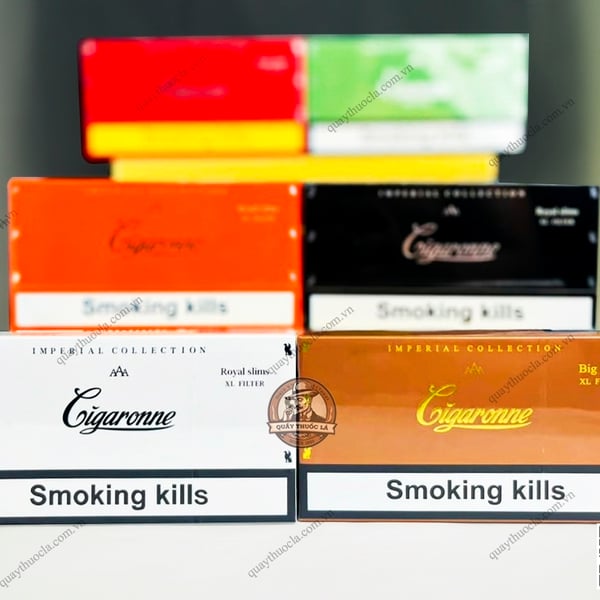 Combo Cigaronne Collection ( 6 Loại ) 