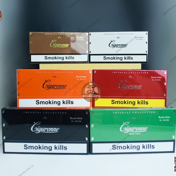 Combo Cigaronne Collection ( 6 Loại ) 