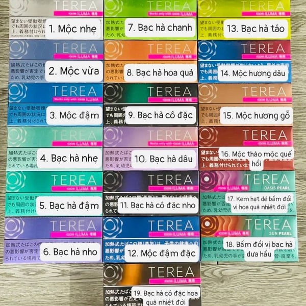 TEREA IQOS ILUMA ( NỘI ĐỊA NHẬT )