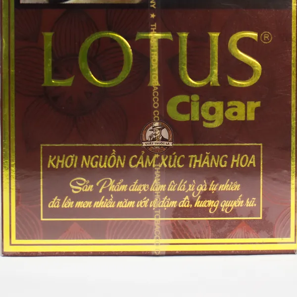 Cigar Lotus Điếu Nhỏ