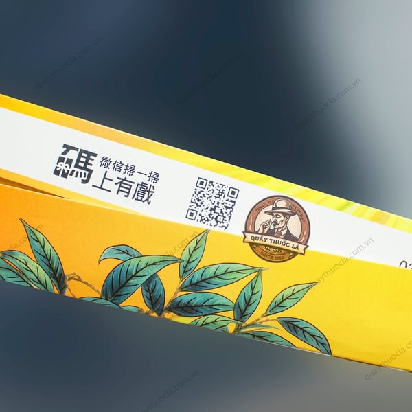 Alishan Mango (Xoài Lạnh Bấm)