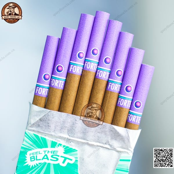 Forte Purple Blast (Nho Đen ) - 16 Điếu 