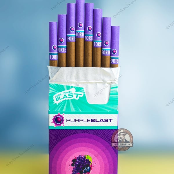 Forte Purple Blast (Nho Đen ) - 16 Điếu 
