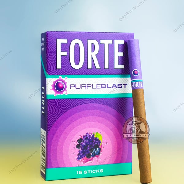 Forte Purple Blast (Nho Đen ) - 16 Điếu 