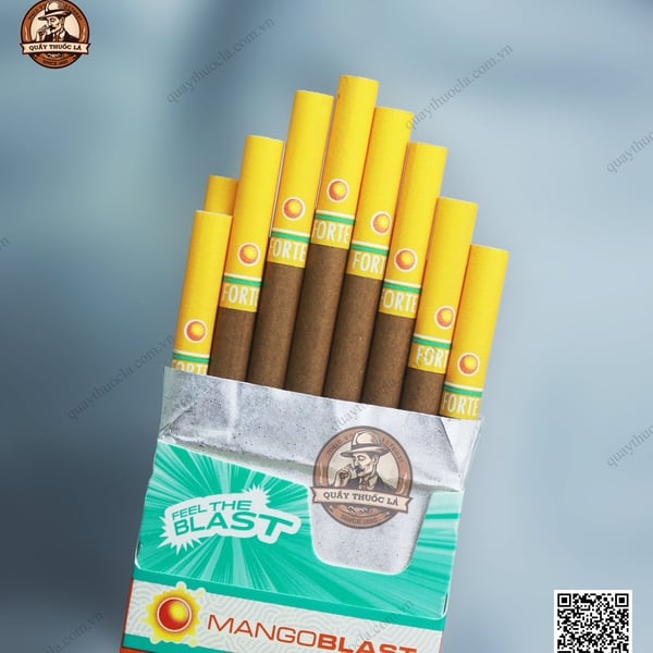 Forte Mango Blast (Xoài Bấm) - 16 Điếu 