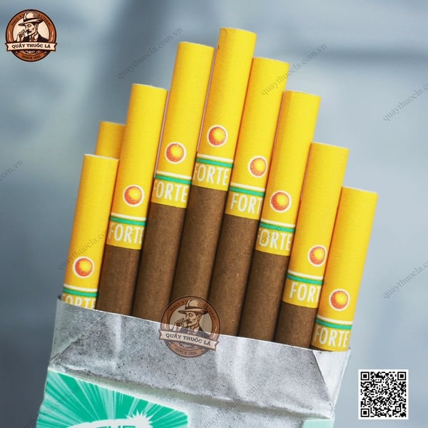 Forte Mango Blast (Xoài Bấm) - 16 Điếu 