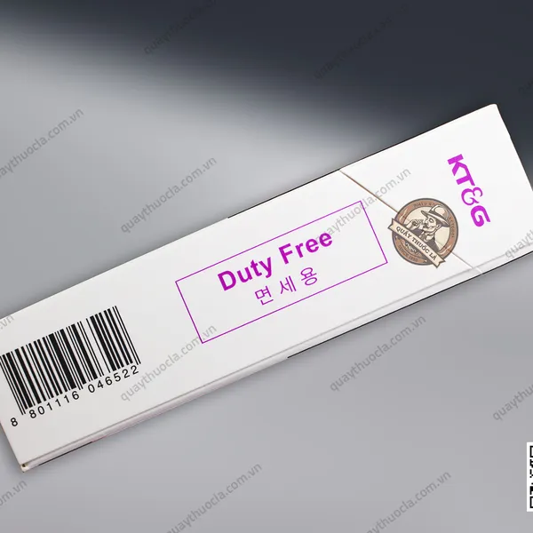 Thuốc lá Raison Ionia Purple (Nho )