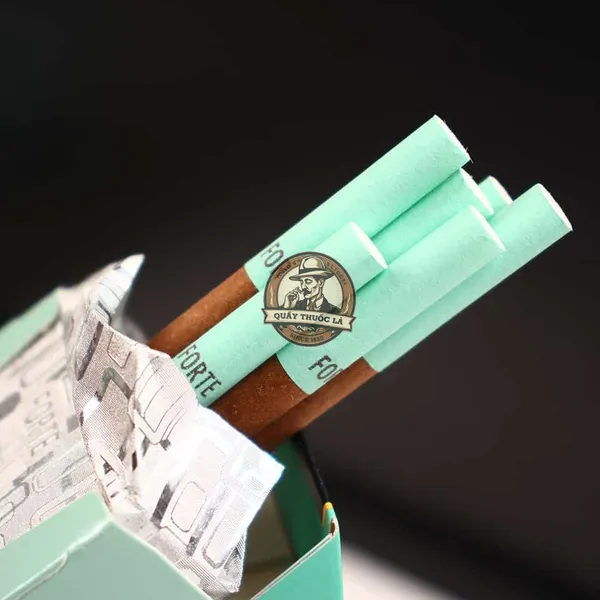 Forte Menthol ( Bạc Hà )