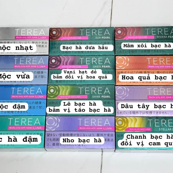 TEREA IQOS ILUMA ( NỘI ĐỊA NHẬT )