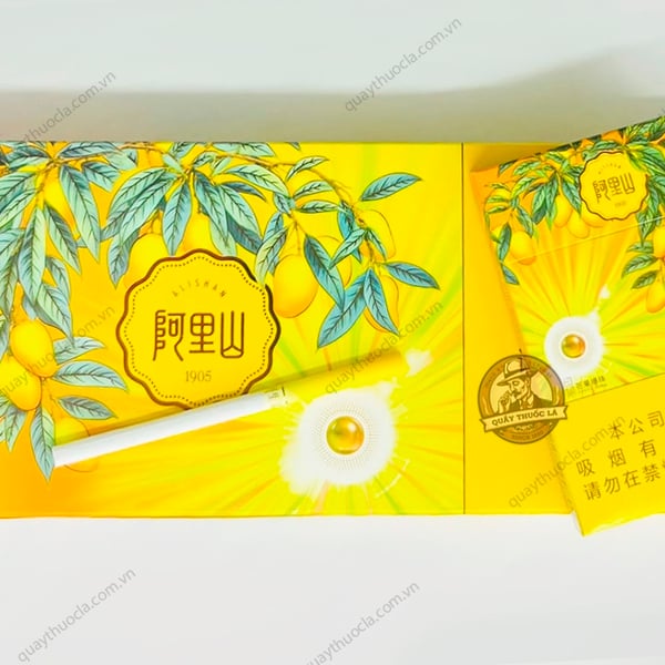 Alishan Mango (Xoài Lạnh Bấm)