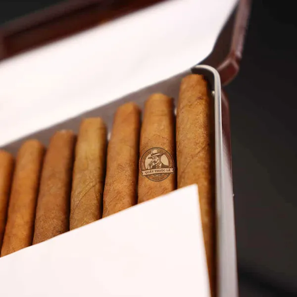 Cigar Mini Espesso Flavour