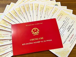 NVSP là gì? Học NVSP ở đâu? Học phí chứng chỉ NVSP
