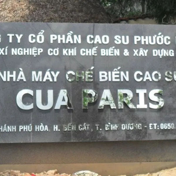 Làm Biển Hiệu Công Ty MiCA - 50 Mẫu Bảng Tên Công Ty Đẹp Nhất