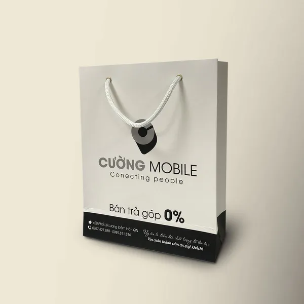 In túi giấy giá rẻ tại Thái Bình