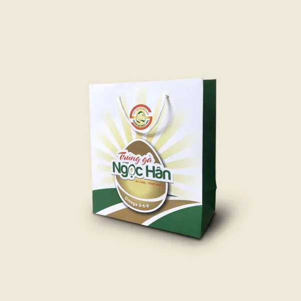 In túi giấy giá rẻ tại Thái Bình