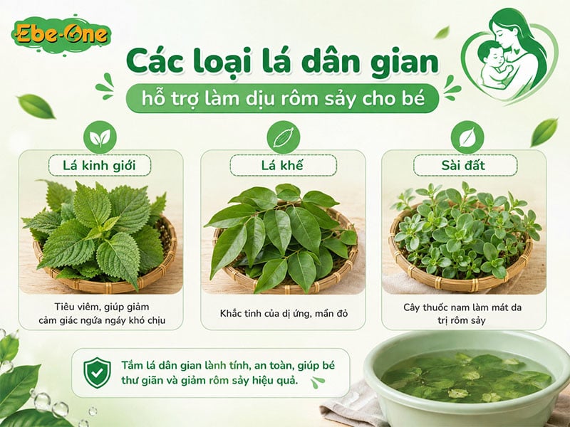 Các loại lá dân gian hỗ trợ làm dịu da rôm sảy cho bé Các loại lá dân gian hỗ trợ làm dịu da rôm sảy cho bé