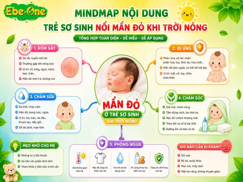 Sơ Đồ Nổi Mẩn Đỏ Khi Trời Nóng Ở Trẻ Sơ Sinh Sơ Đồ Nổi Mẩn Đỏ Khi Trời Nóng Ở Trẻ Sơ Sinh
