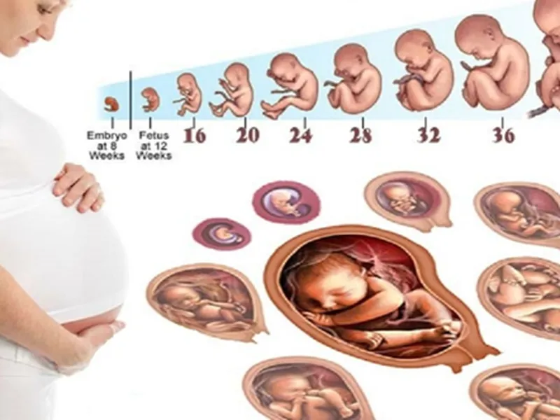 Sự kiện cộng đồng: Hành trình 1.000 ngày vàng cho con