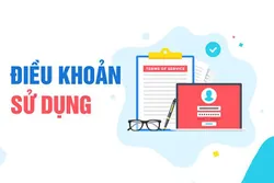 Điều Khoản Chung Và Quy Định Của Website