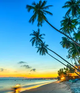 SAI GÒN <=> TP PHAN THIẾT