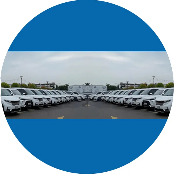 Dịch Vụ Chất Lượng