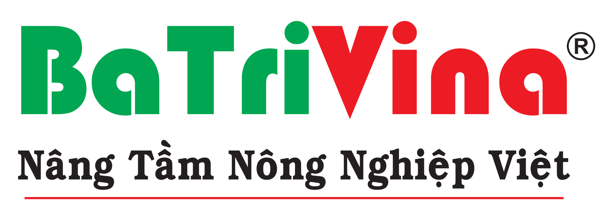 BATRIVINA JSC - CÔNG TY SẢN XUẤT, XUẤT KHẨU MỤN XƠ DỪA TỪ BẾN TRE, VIỆT NAM