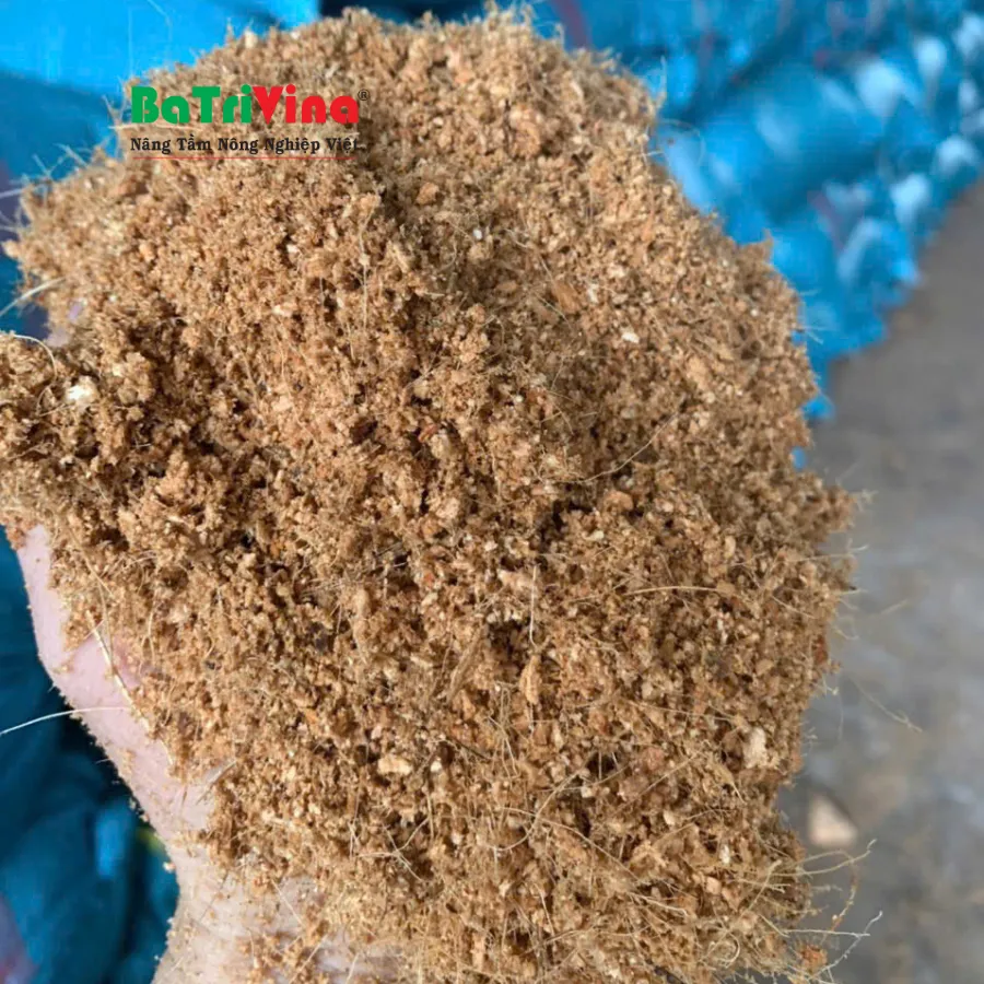 MỤN DỪA THÔ NGUYÊN LIỆU