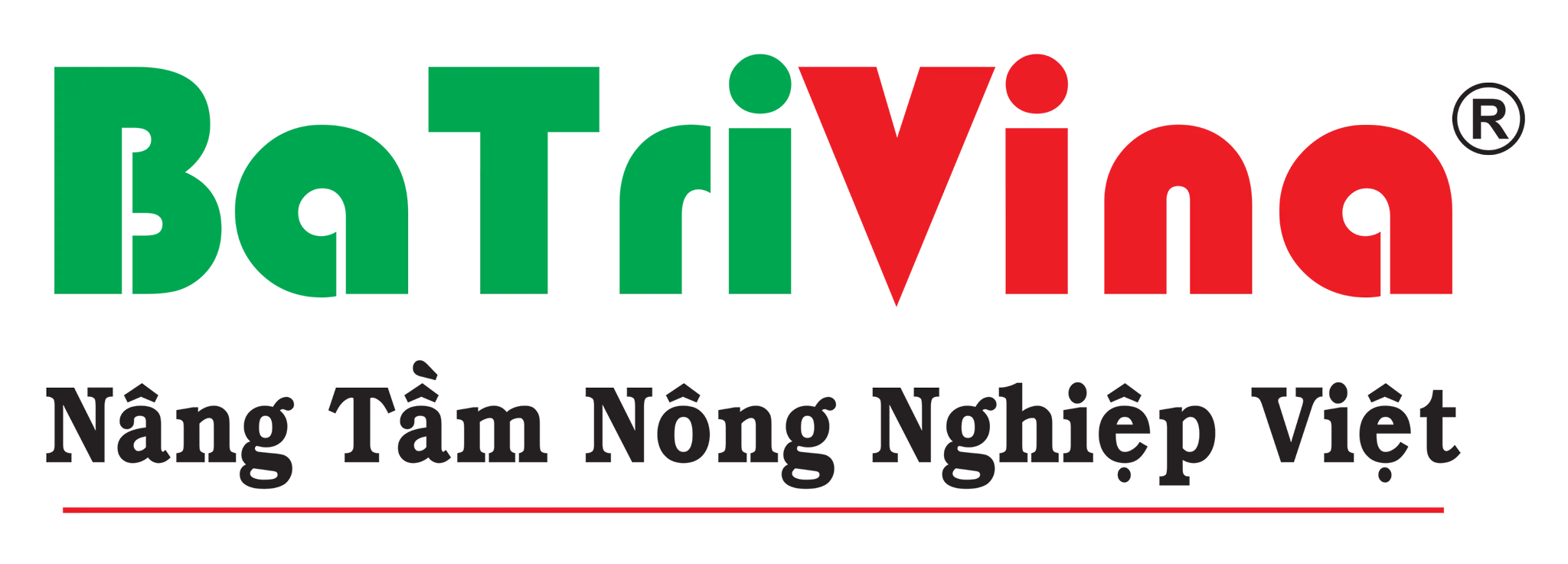 BATRIVINA JSC - CÔNG TY SẢN XUẤT, XUẤT KHẨU MỤN XƠ DỪA TỪ BẾN TRE, VIỆT NAM