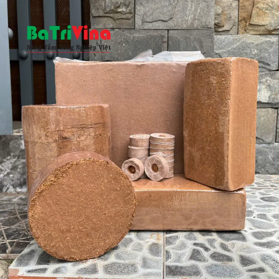 MỤN DỪA ÉP KHỐI