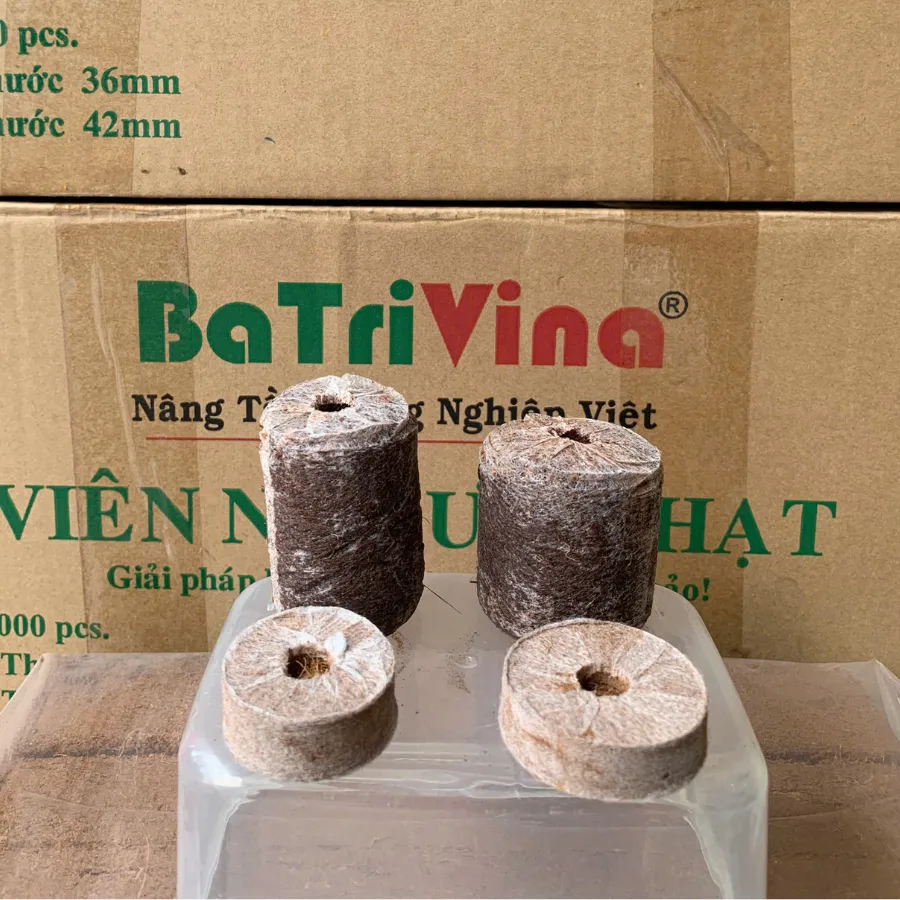 VIÊN NÉN ƯƠM HẠT MỤN DỪA