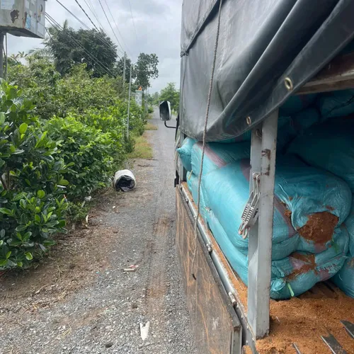 BAO MỤN DỪA XANH THÔ BAO 65X105