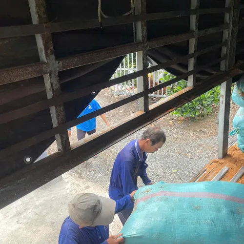 BAO MỤN DỪA XANH THÔ BAO 65X105