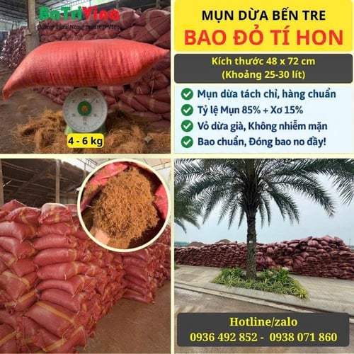 MỤN DỪA THÔ BAO NHỎ 48 x 72 cm
